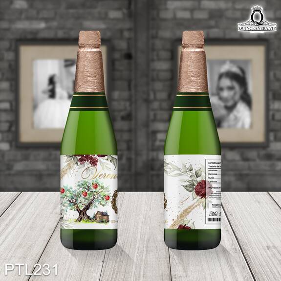 Invitaciones de Quinceañera de la Princesa Blanca Nieves - PTL231