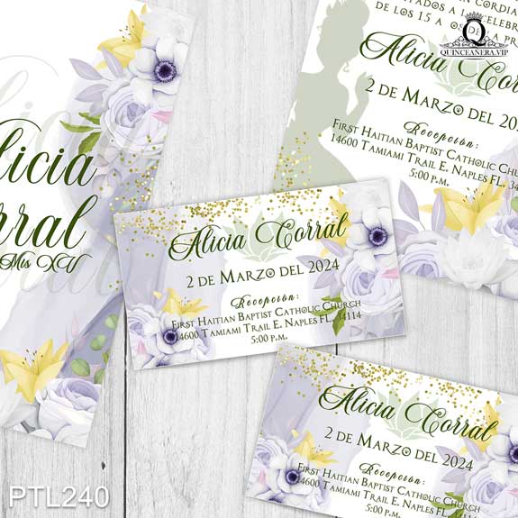 Invitaciones de Quinceañera de la Princesa y el Sapo - PTL240